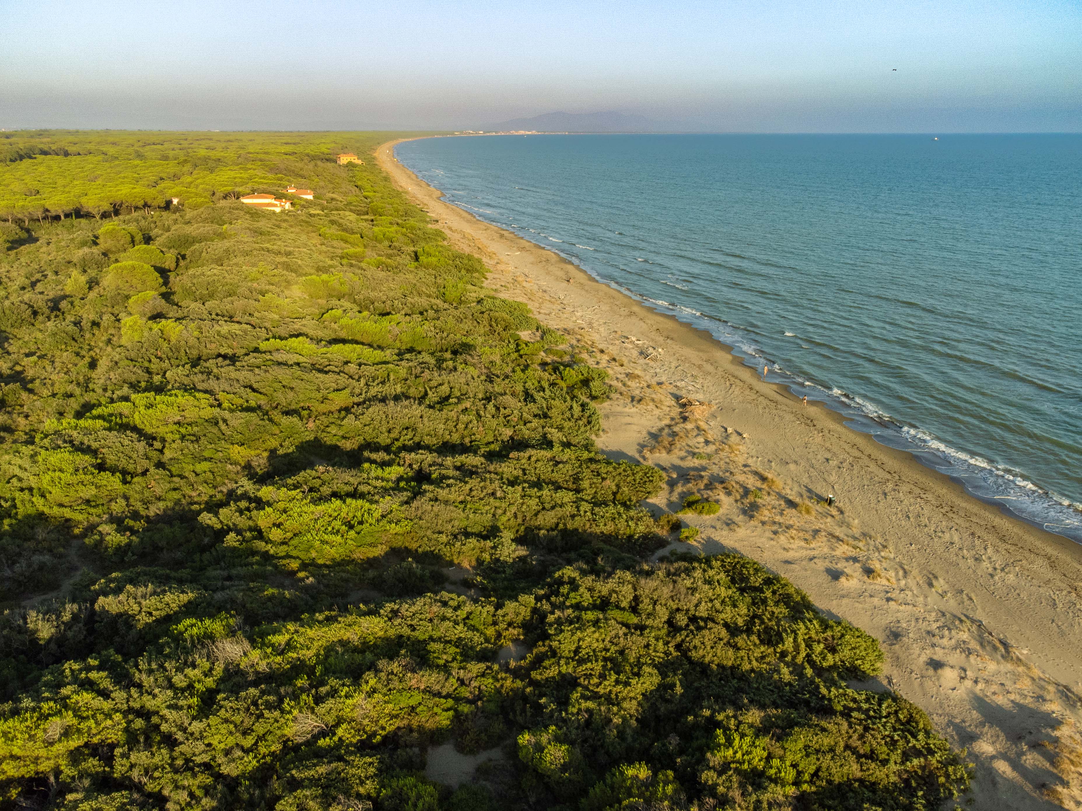 La spiaggia e la pineta di Castiglione della Pescaia